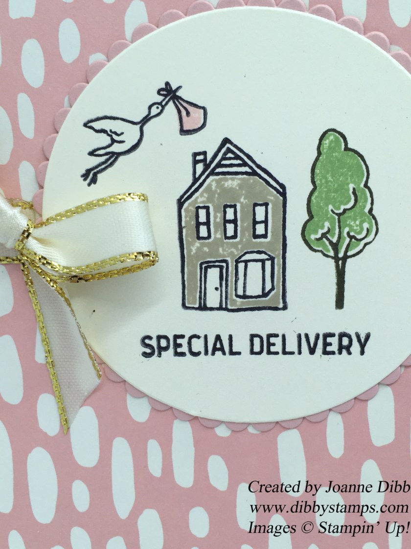 specialdeliverycloseup
