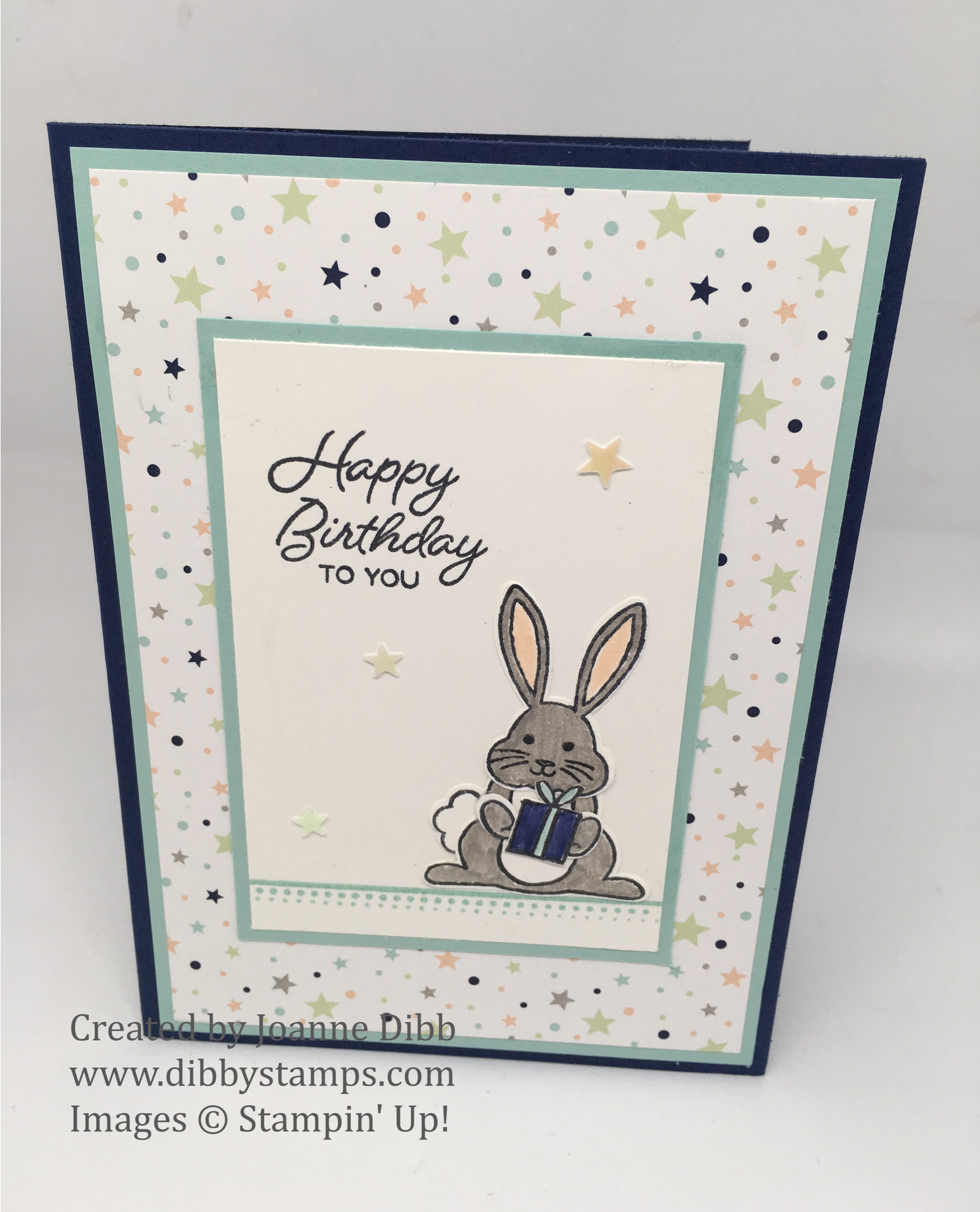 poolpartybunnycard