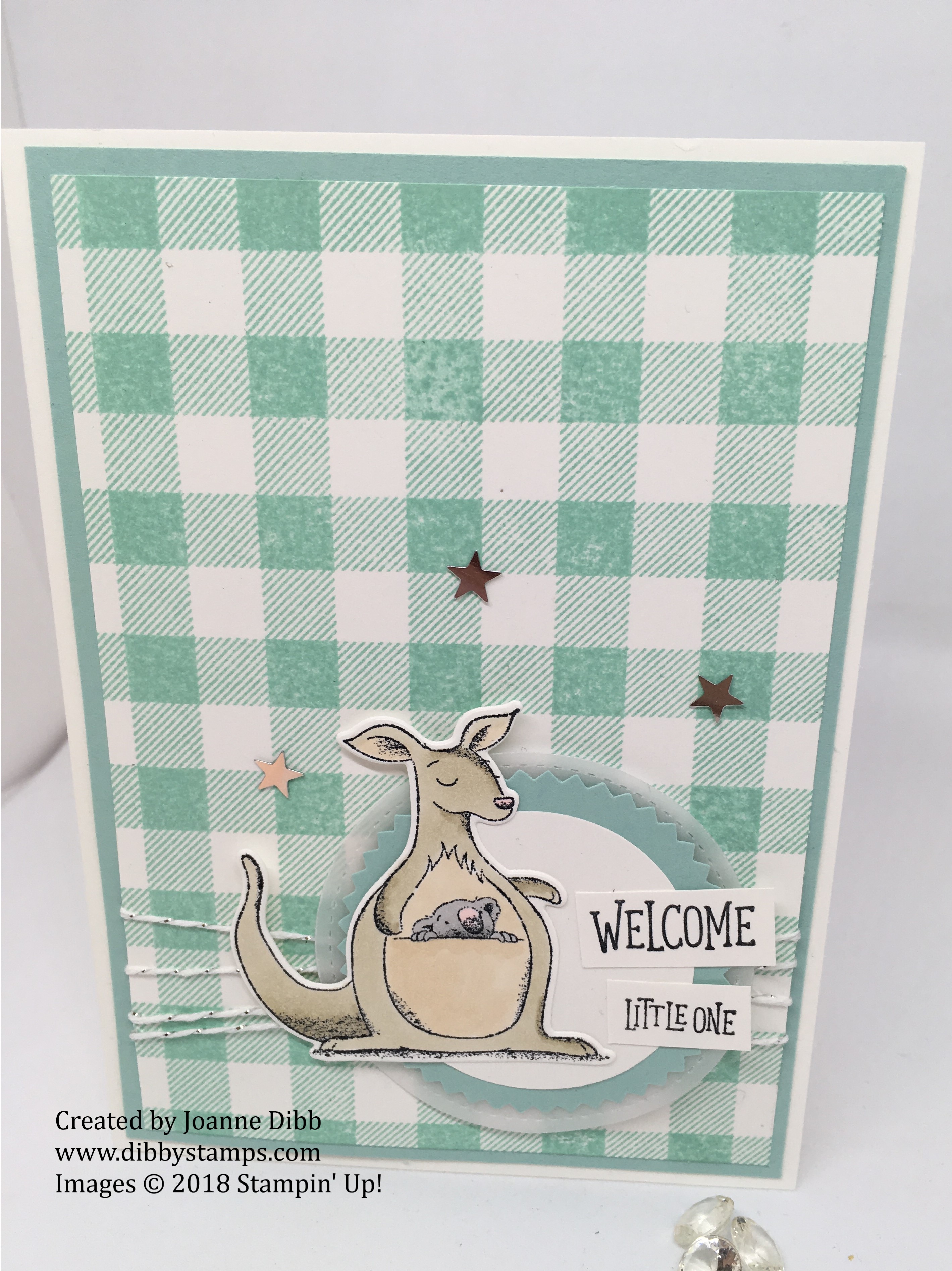 animal outing pool party baby card