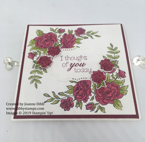 cherry cobbler climbing roses flat card