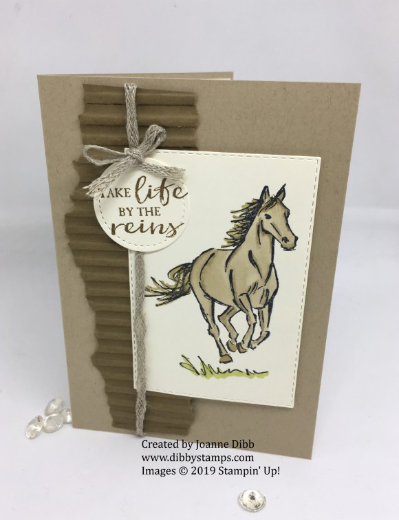 Let it Ride Encouragement