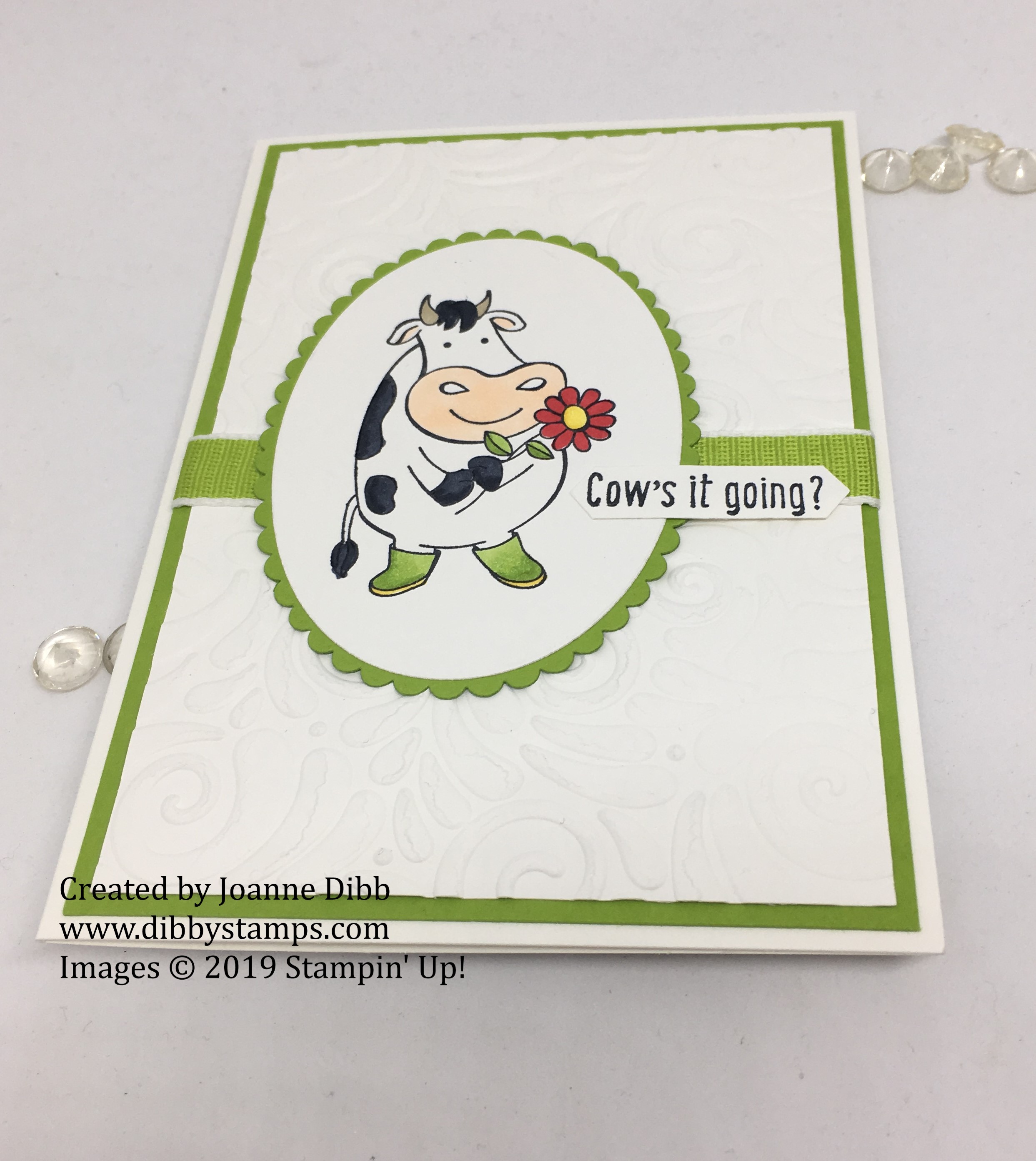 Over the Moon- Cows it Going -flat