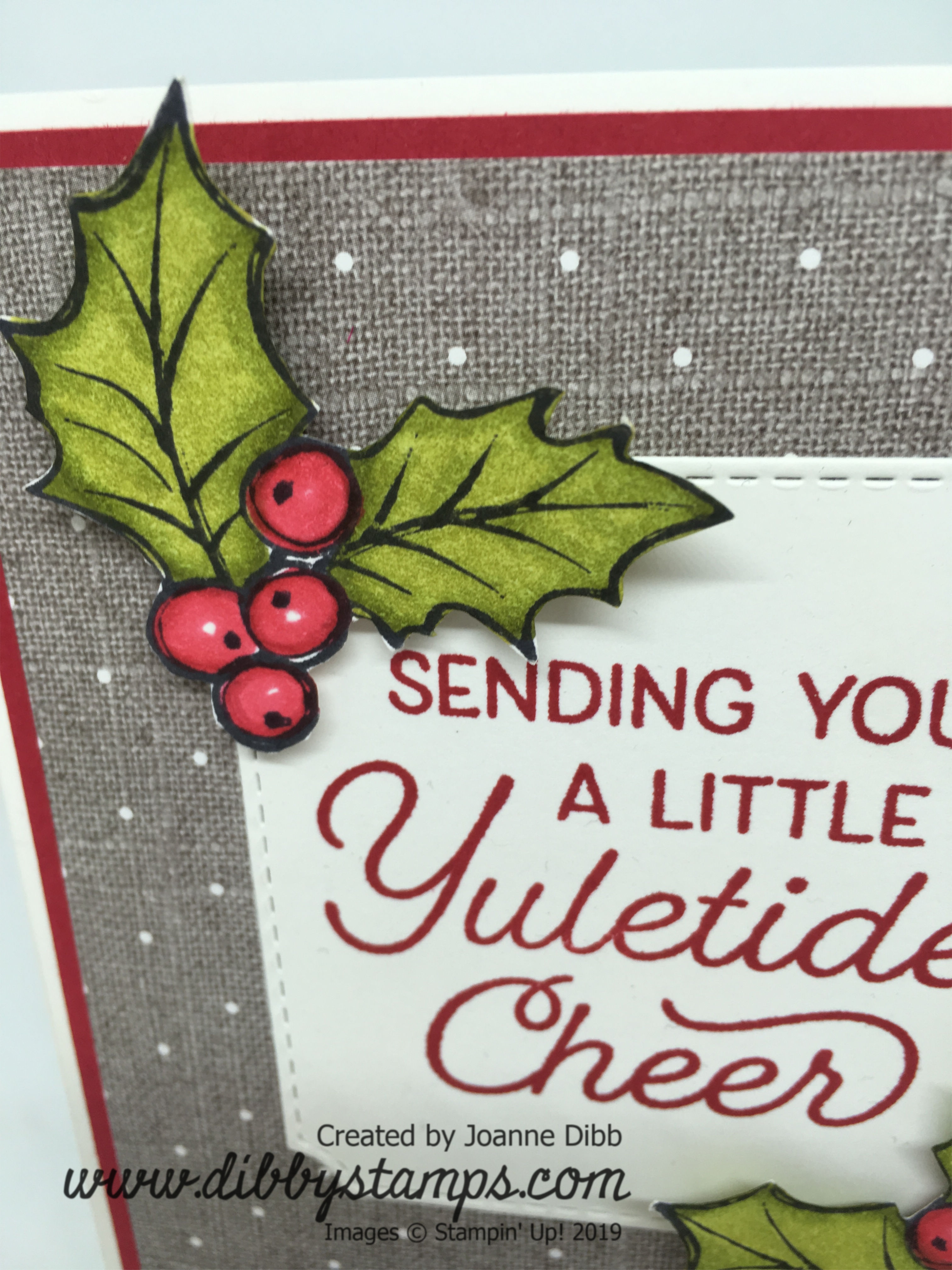 Yuletide Holly Close Up