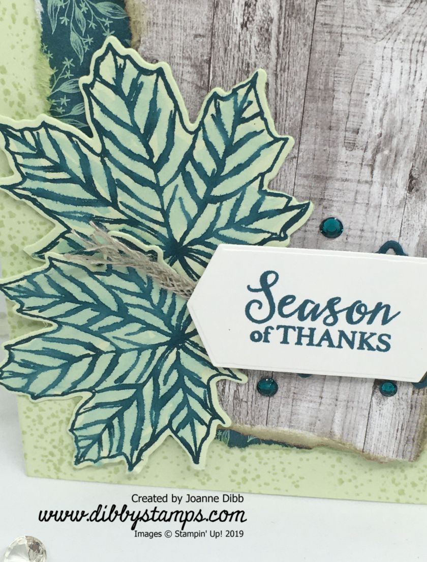 Happy Thanksgiving Card - close up