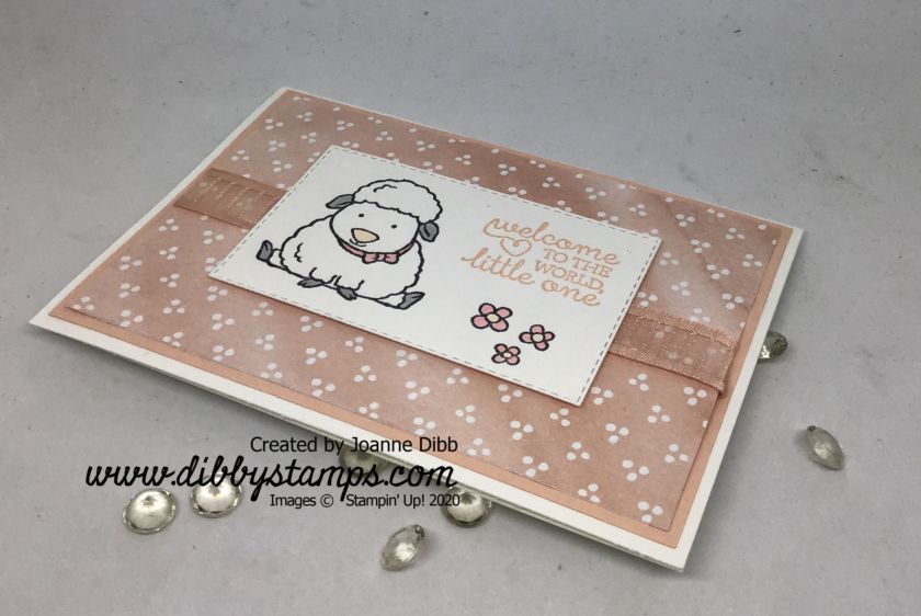 New Baby card with Welcome Easter (1)