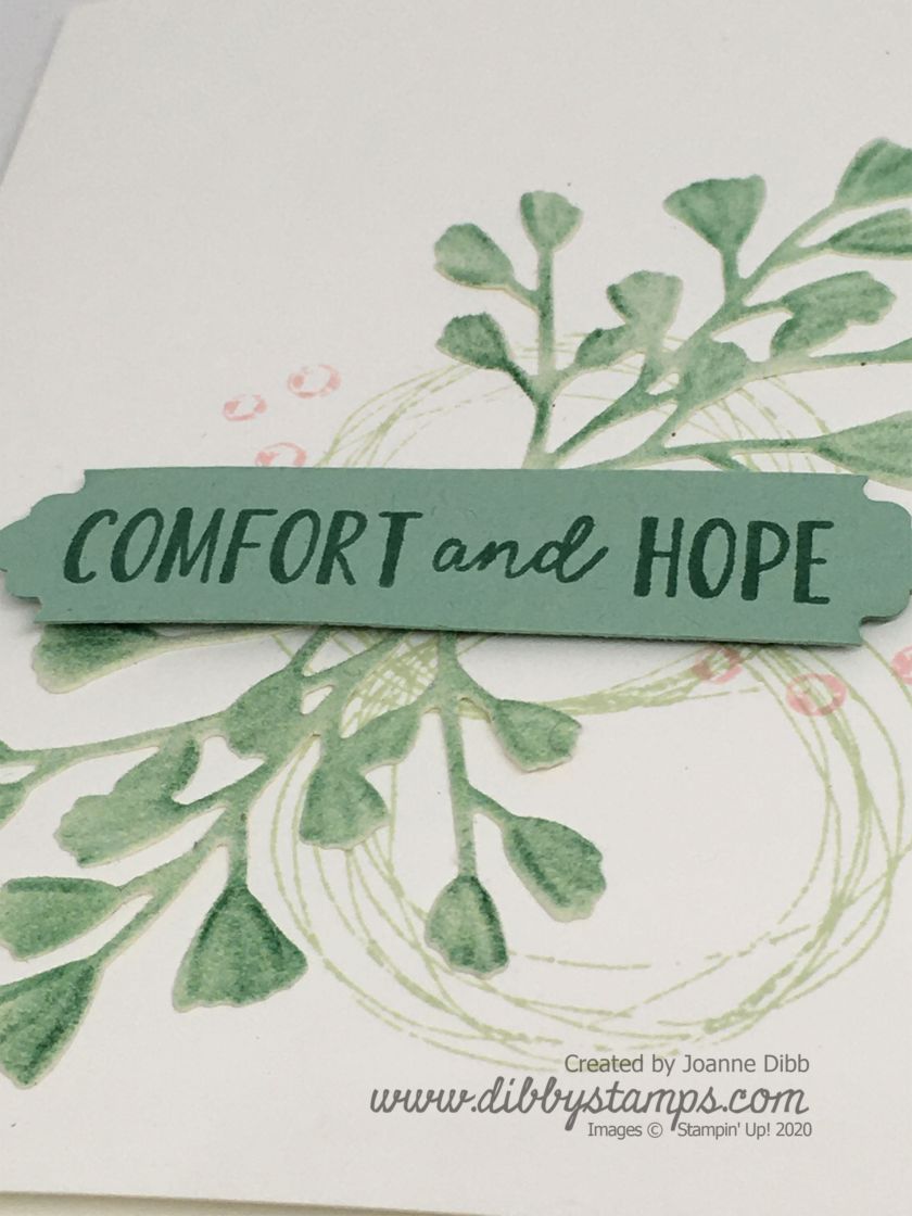 Comfort & Hope Close Up